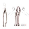 Extracting Forceps S5417