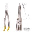 Extracting Forceps S5436