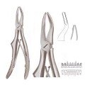 Extracting Forceps S5453