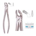 Extracting Forceps S5448