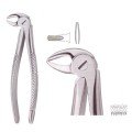 Extracting Forceps S5450