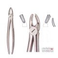 Extracting Forceps S5476
