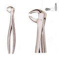 Extracting Forceps S5468